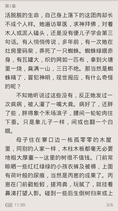 关于菲律宾电子签证的简介 为您详解